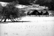 Shades of Kern County, Frazier Park - Barn