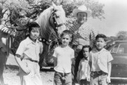 Shades of Sutter County - Roy Rogers
