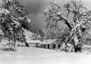 Shades of Kern County, Frazier Park - Leber Home