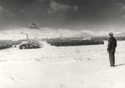 Shades of Anaheim - Japanese Internment Camp