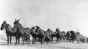 Shades of Kern County, Taft - Hauling Pipe