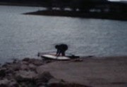 Gee Family, Wind Surfing, 1981