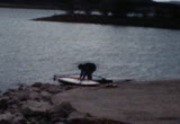 Gee Family, Wind Surfing, 1981