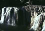 Gee Family, Yellowstone, 1978