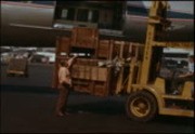 Baby Elephant and Cheetah Depart India for Burbank