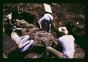 Fossil discoveries, Los Angeles County Museum of Art's Shin'en Kan Museum