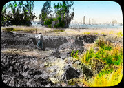 Colorized/tinted photo, outcrop of E, end of lake I. (RLB-196)