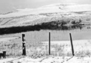 Snow on Peters Lake