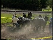 Plow Day/Silvio Picconotti Wagon Trek