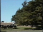 Ranch Preparation for Silvio Piccinotti' s Wagon Trek 1993