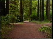 Petaluma Is: A Contemporary Look at Petaluma As Seen Through The Eyes of Ron Walters