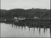 Bridge--Ducks--Black Point