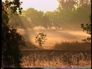 Silvio Piccinotti's Wagon Trek 1991-1992