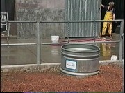 Kids with Livestock at Fair--Petaluma Queen in Tidal Basin