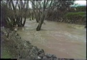 Guadalupe River, Feb. 1986, high flows D/S Alma