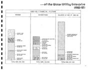 1984 Water Utility Enterprise Report