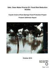 Coyote Creek At Rock Springs Flood Protection Project Planning Study : Problem Definition and Conceptual Alternatives Report