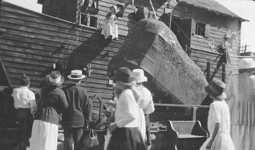 Outdoor display of ship and whale