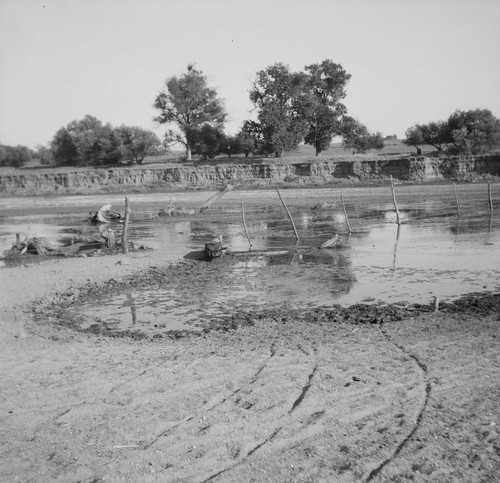 [Salinas River area, Cailf.?]