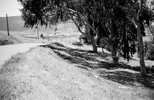 Road leading to the Scripps Institution of Oceanography