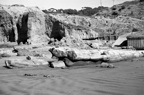 Rock formation called "Elephant Rock" and cliffs north of the Scripps Institution of Oceanography seawall