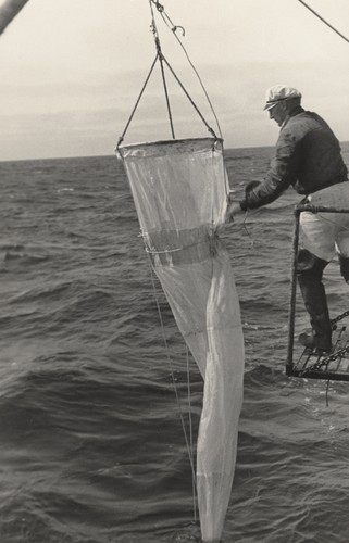 Martin W. Johnson with plankton net at sea