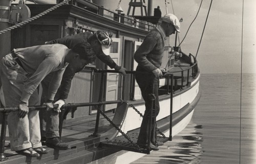 Hiomi Nakamura, David Q. Anderson and Richard Howell Fleming looking over the side of R/V Scripps