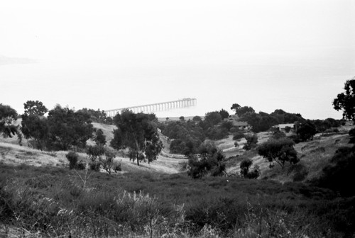 Hillside above Scripps Institution of Oceanography campus