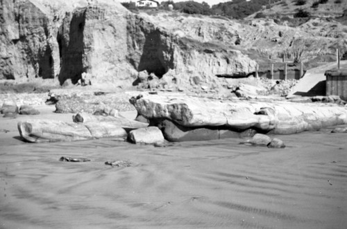 Rock formation called "Elephant Rock," seawall, and cliffs just north of the Scripps Institution of Oceanography