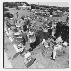 Glass sorting barrels and workers at the Recycling Center, Santa Rosa, California, 1971