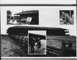 Various scenes around Petaluma Adobe, Petaluma, California, 1982