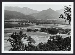 Panoramic view of Los Guillicos Valley