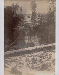 Titus home in the snow, Freestone, California, 1902