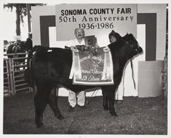 Kristi DeOme and her Grand Champion Angus steer at the Sonoma County Fair, 1986