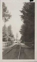 Northwestern Pacific right of way between Guernewood Park and Guerneville