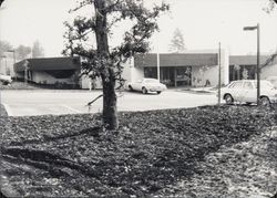 Unidentified single-story commercial building, 1970s