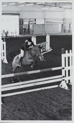 Dressage at the Beck Arena at the Sonoma County Fair, Santa Rosa, California