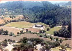 Aerial view of the Lambert Winery and vineyards, Healdsburg, California, 1986