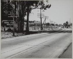 Northbound Old Redwood Highway near Cotati, California, about 1950