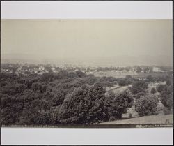 Healdsburg, California from east of town, about 1905