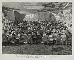 Spectators at an award ceremony at the Sonoma County Fair, Santa Rosa, California, 1971