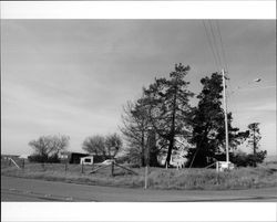 Homes on Petaluma Hill Road