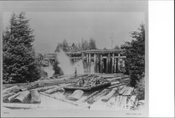 Log pond and railroad trestle at Westover Mill on Fife Creek