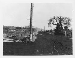 Intersection of Russell Avenue and Mendocino Avenue facing south at De Vera Avenue