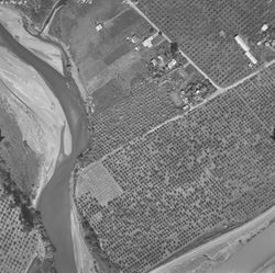 Orchards at Skinner Road and Magnolia Drive--aerial views