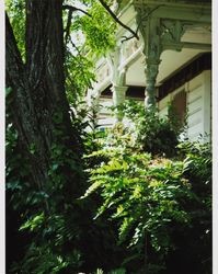 Clark House, Hill Drive, Petaluma, California, 2010