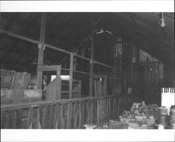 Dairy barn on Andresen Ranch, Penngrove, California, 1992