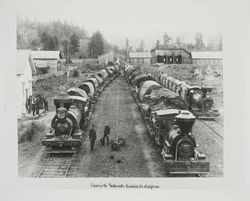 View in the redwoods, Humboldt County, California, 1892 Excelsior Redwood Company rolling stock