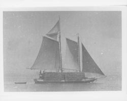 Scow schooners loaded with hay, San Francisco, California, 1895