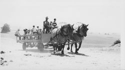 Hay rides at the Old Adobe Fiesta, Petaluma, California, 1963-1966